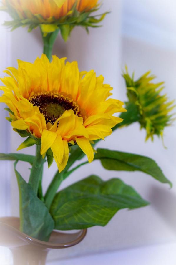 B&B Overnachting De Margriet Hardenberg Luaran gambar